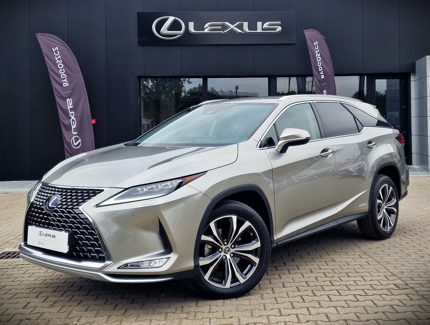 Oferta Samochodu Lexus Rx Hybryda Z Brutto Lexus Bydgoszcz Osielsko K Bydgoszczy